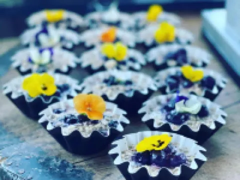 Kungshaga Hotell Hotels in Orsa