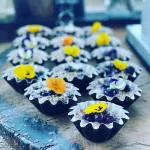 Kungshaga Hotell Hotel di Mora