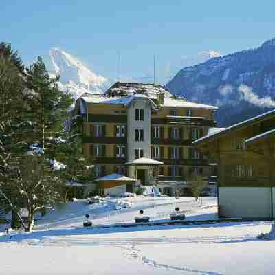 Hotel Berghof Amaranth Hotel Exterior