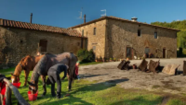 Locanda Del Viandante B&B