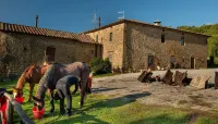 Locanda Del Viandante B&B
