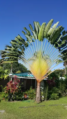 Hotel El Colibri Rojo - Cabinas - le Colibri Rouge