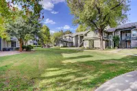 Pet-Friendly Condo w/ Pool ~ 7 Mi to Dtwn Chandler Hotels near Jared