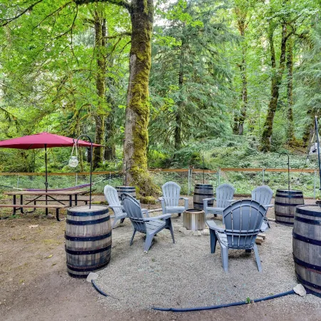 Rustic Cougar Cabin w/ Wood-Burning Fire Pit!