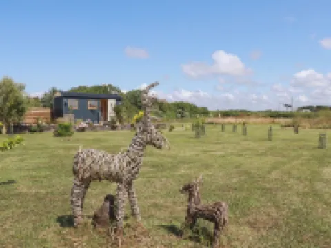 Dot May Hotels in Wadebridge