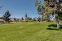 Summer Desert Oasis! Pool, Patio & Fast Wifi - Apartments