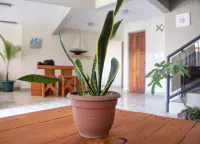 라스 카르멜라스, 후안 산타마리아 공항, 알라훌라, 산 호세