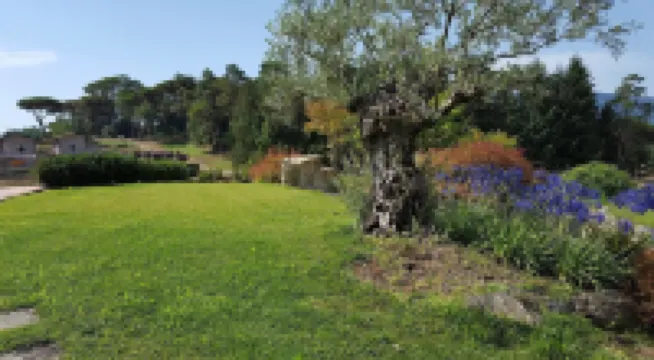 蒙特瑟農場農莊酒店