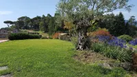 B&B Podere Montese Hotels in Comano