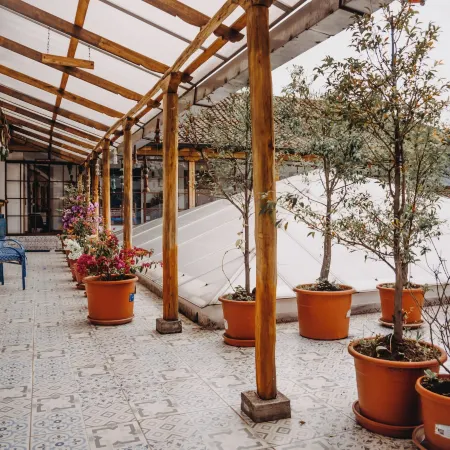 Hotel Casa Alquimia