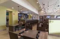 Holiday Inn SAN MARCOS-CONVENTION CTR AREA by IHG - bar