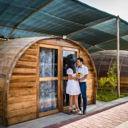 Glamping Toneles Y VIÑEDOS