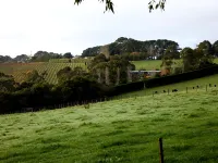 Halarah Hotels in Flinders