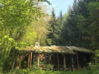 Holiday Apartment "Eulentreff" in the Wilde Auwaldhaus, Zittau Mountains Hotels in Bertsdorf