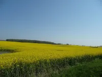 Vacation home Zastrow in Kappeln-Olpenitz