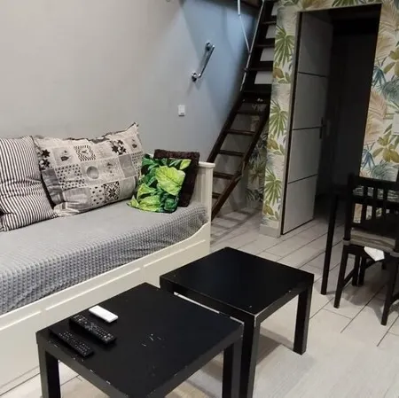 DIJON Super apartment F1 bis air-conditioned mezzanine