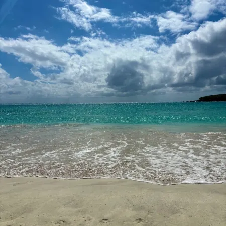 Bananas Vieques Guesthouse Room 7/Vibrant Area/Private/Steps from Caribbean