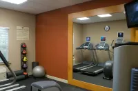Homewood Suites by Hilton Dover - Fitnessstudio