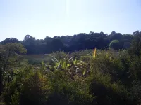Bungalow Dowtown in a Park With Lake, Birdwatch Các khách sạn ở Antananarivo Renivohitra