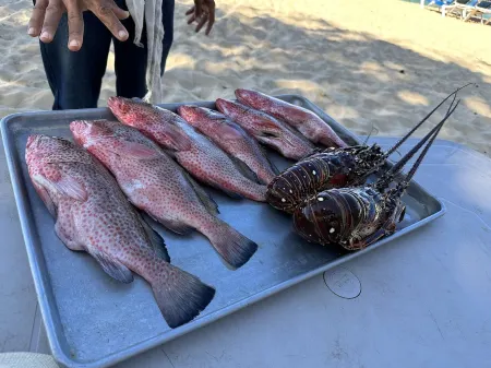 Beautiful and modern home in Cabrera with ocean view and pool ( really quiet ) Отели в г. Кабрера