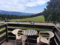 Charming studio cabin with mountain view Hotels in Muhlbach-sur-Munster