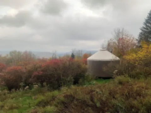 western Catskills YURT Hotels in Livingston Manor