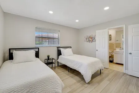 The Oasis Under the Palms