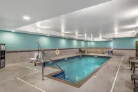 Best Western Plus Rapid City Rushmore - Familievenlig