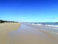 Prestigious villa 5 minutes walking to the sea Hotels in Francavilla al Mare