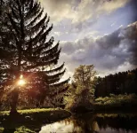 Lakeside Retreat! SPECIAL PRICING! DON'T MISS OUT!