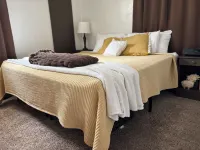 Cozy European Cafe Style Downstairs Full Apt. - 1 Block to UW - No SMKG, No Pets