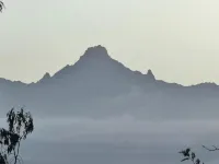 Podocarpus cottages 03