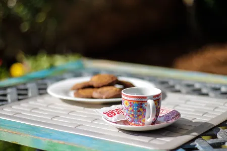 Villa Silvana facing the sea