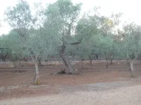 Fulieri Refuge in Salento Hotel a Francavilla Fontana