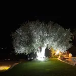 The Wave, Sampieri, 2 minutes from the sea, villa with pool.