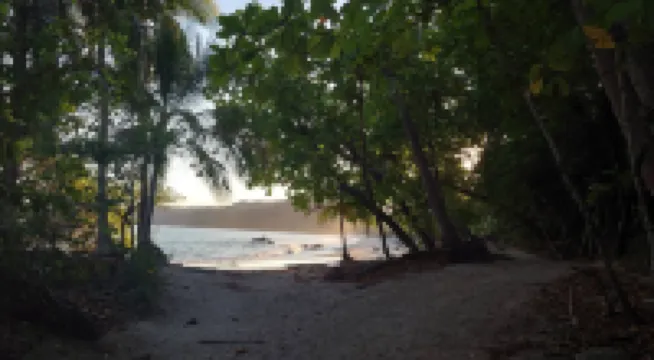 Villa Pura Vida - Mango