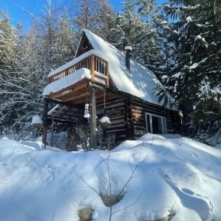 La Luna Tiny Cabin
