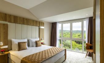 Movenpick Resort and Spa Fruske Terme