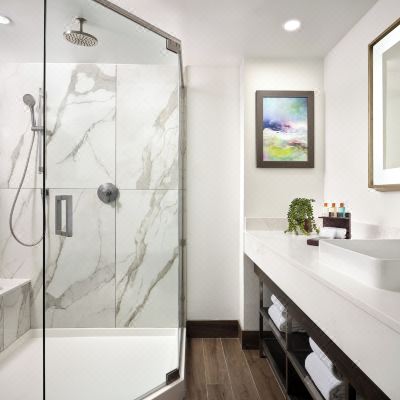 Deluxe Room, 1 King Bed with Sofa Bed (Deluxe King Suite) Buena Vista Suites Promo Code