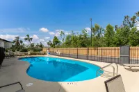 레드 루프 인 파나마 시티