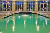 Holiday Inn & Suites WACO NORTHWEST by IHG - Pools