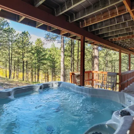 The Reinerheim Cabin Centrally Located and Close to Lake Pactola