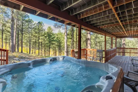 The Reinerheim Cabin Centrally Located and Close to Lake Pactola