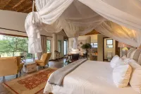 Karongwe - Becks Safari Lodge - Infinity Pools