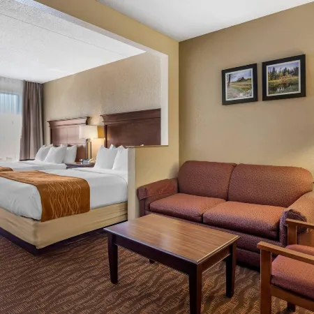 Comfort Inn & Suites Branson Meadows