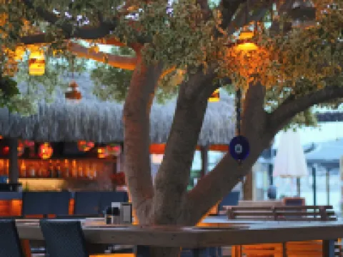博德魯姆哥斯達法立雅特級酒店 Gundogan Mahallesi酒店