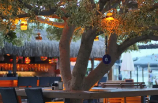 Costa Farilya Special Class Hotel Bodrum