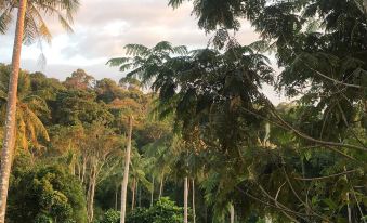 THE SUN HOMESTAY