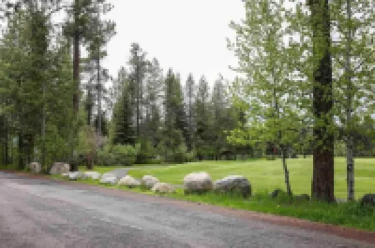 Two Primary Suites, Family & Dog Friendly