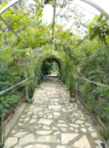 薩馬爾達叢林度假村